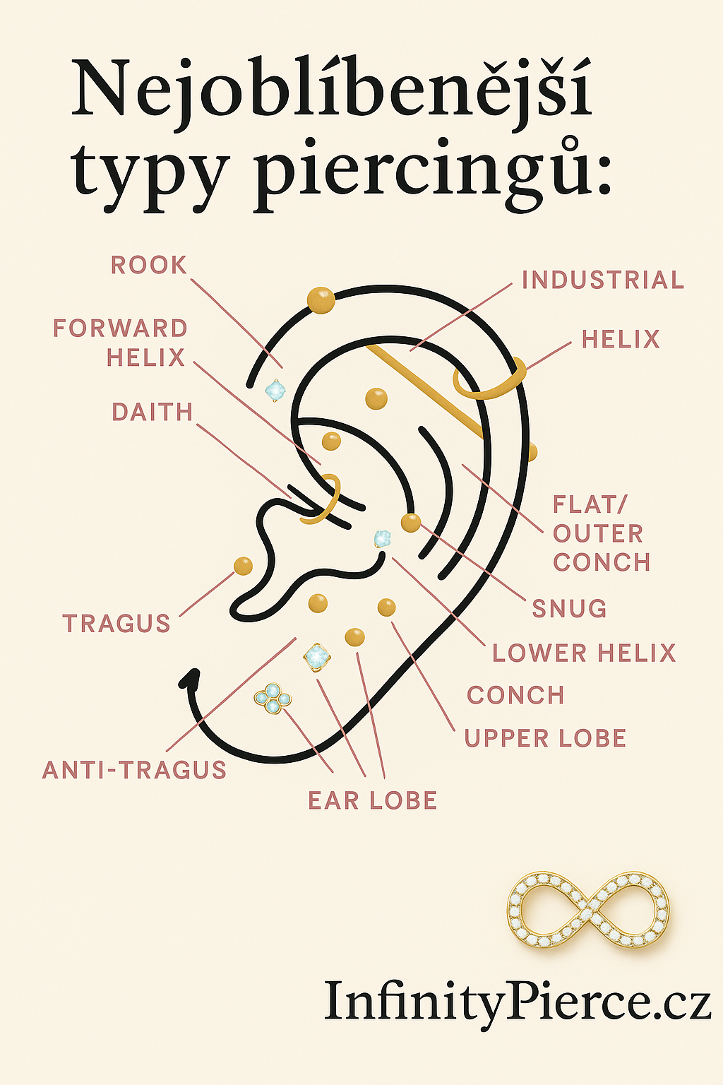Obrázek ucha s možnými typy piercingu